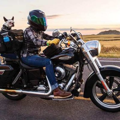 Motorcycle Dog Carrier - Kuryakyn 5288 Grand