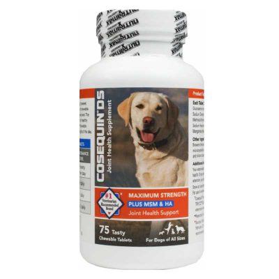 Nutramax Cosequin DS Plus MSM & Hyaluronic Acid (HA) Joint Health Supplement For Senior Dogs