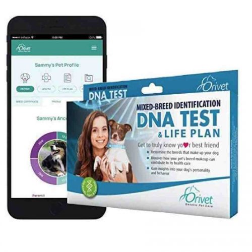 Orivet Dog DNA Test Kit