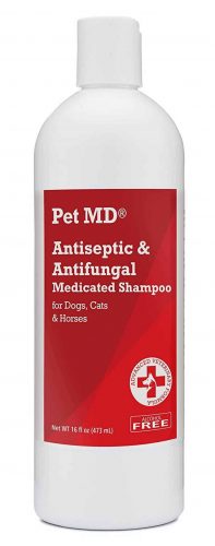Pet MD antifungal dog shampoo
