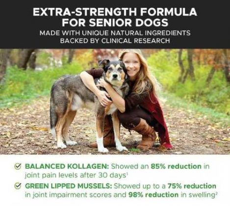 Extra Strength Formula for Senior Dogs