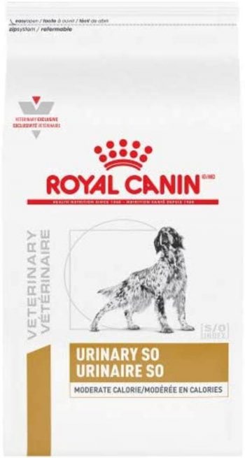 Royal Canin Urinary Dog Food