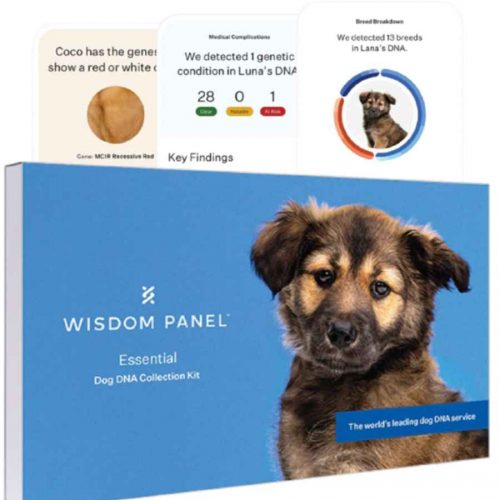 Wisdom Panel Essential Dog DNA Test