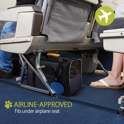 Airline approved dog carrier.