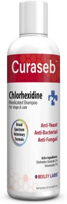 Bexley Labs Antifungal shampoo for dogs